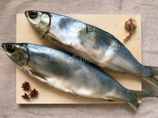 Лещ холодного копчения: Сиг вяленый