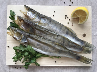 Пелядь вяленая: Судак вяленый